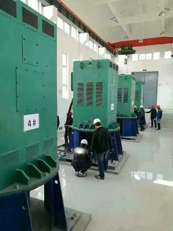 莱芜某污水处理厂使用我厂的立式高压电机安装现场